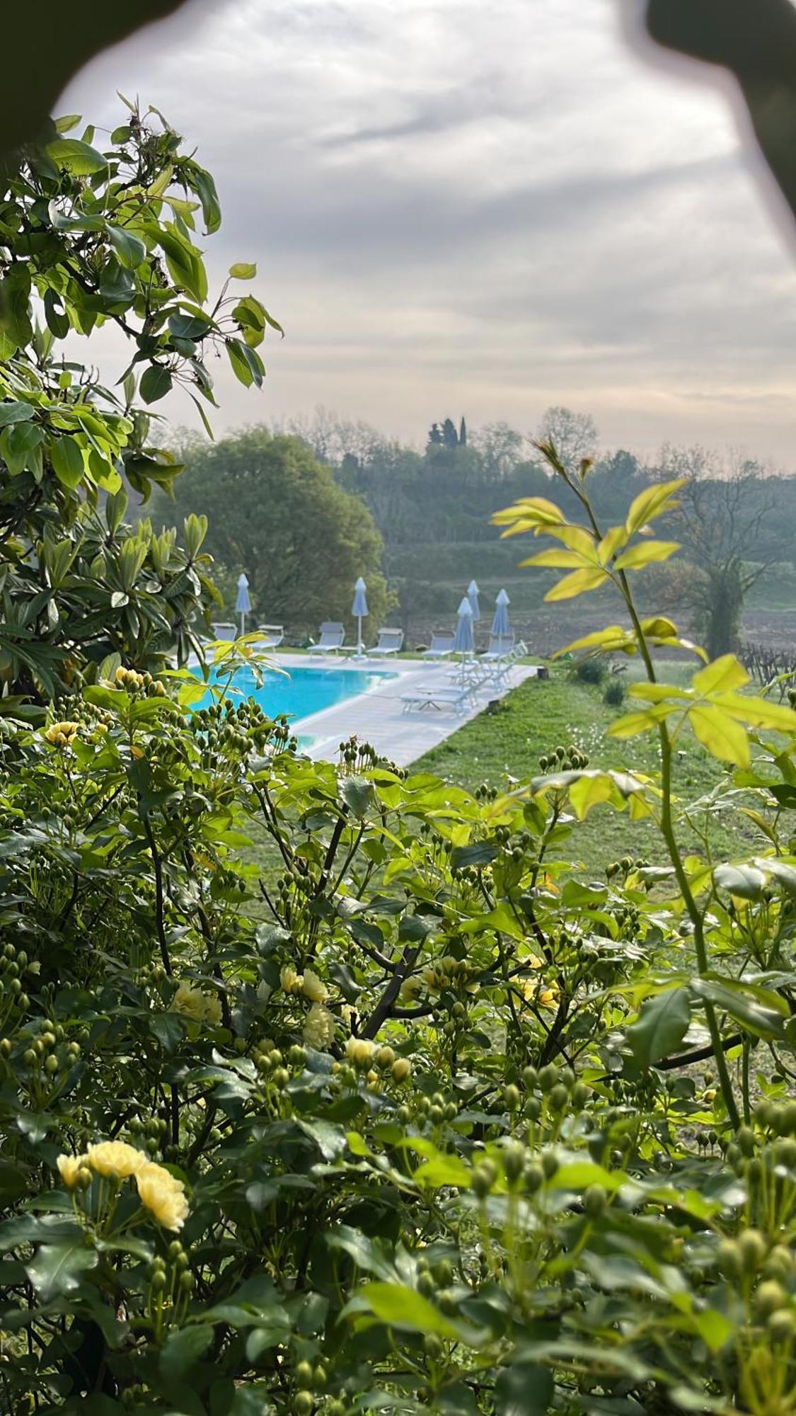 Agriturismo Al Dugale 라찌제 외부 사진